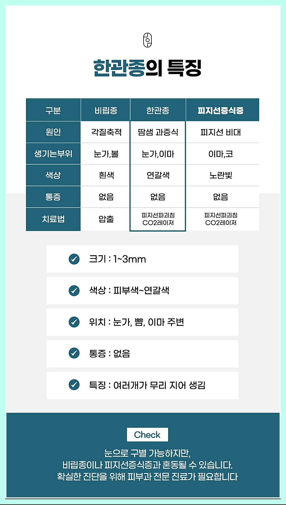 한관종의 특징을 표로 정리한 이미지