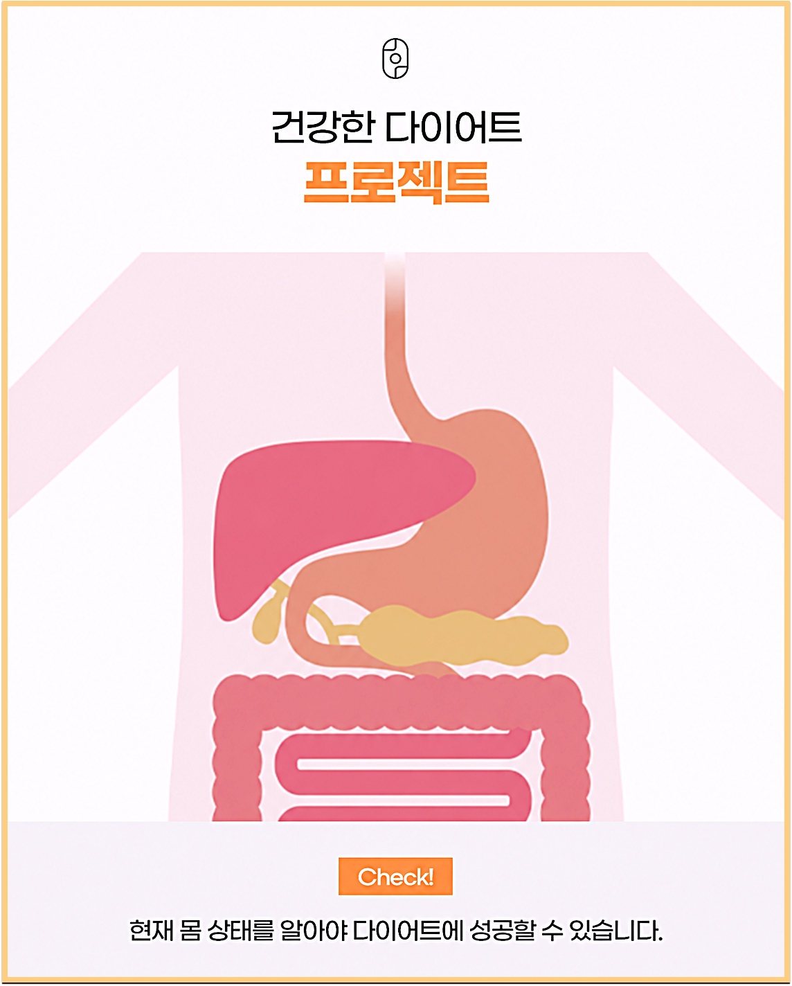 부천다이어트약 상담 전 현재 몸 상태 확인을 안내하는 소화기관 일러스트